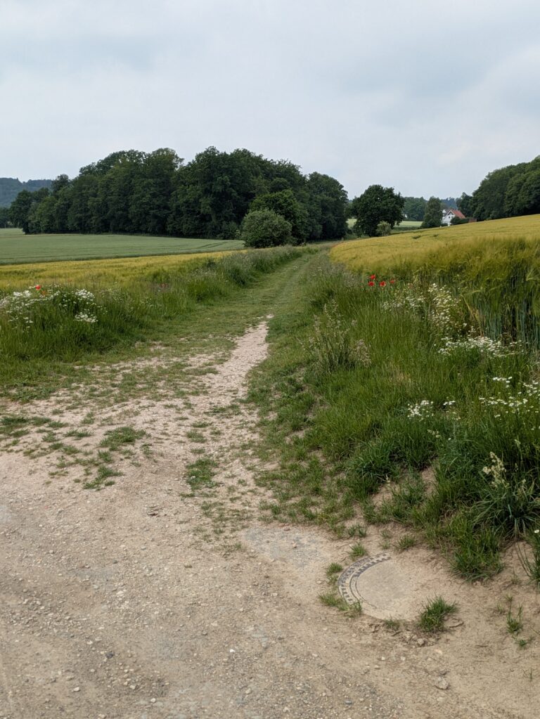Erhalt des Wanderweges „Twellbachtal – Kirchdornberg
