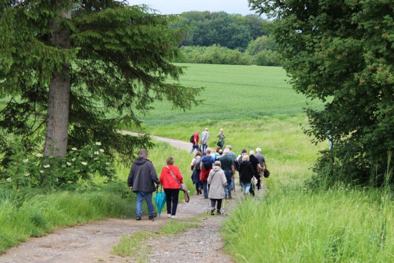 Mit den GRÜNEN ins Grüne – mit Hannes Wader in die Hannes-Wader-Aue