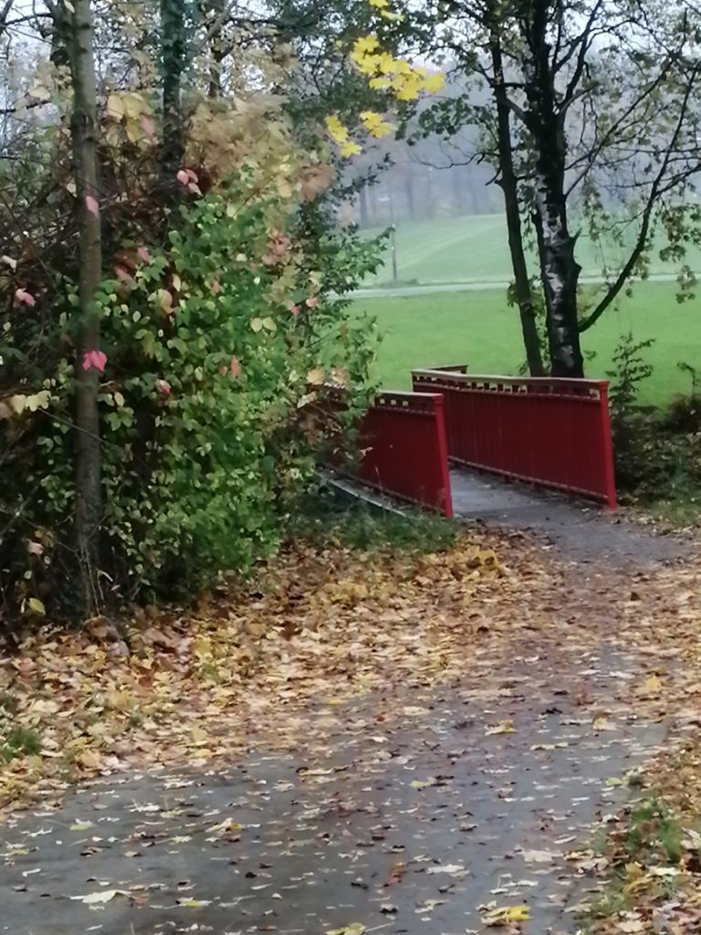 Unübersichtliche Radwegführung?