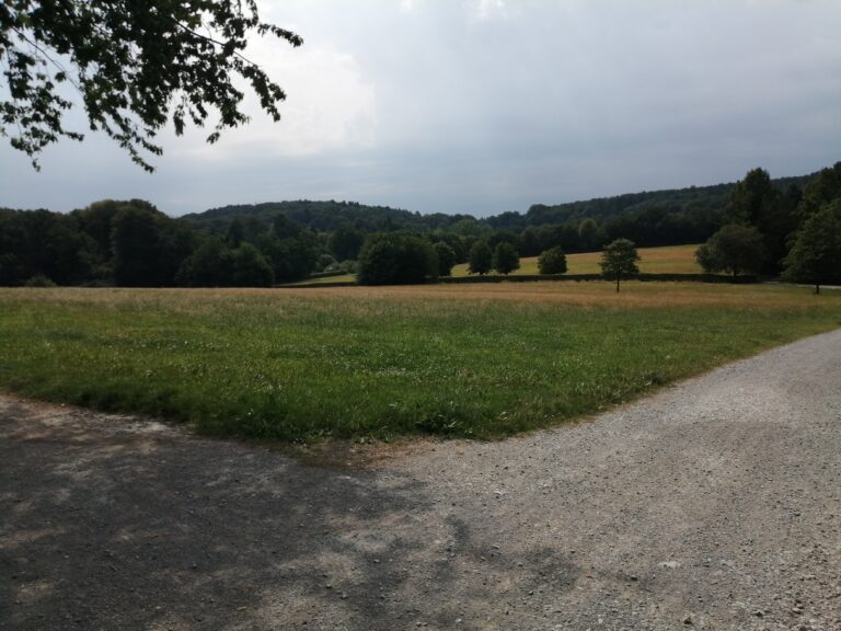 Die Ochsenheide – viel mehr als eine Freifläche