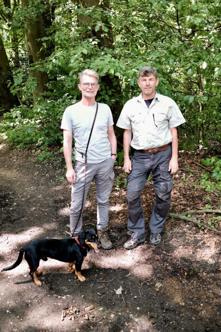 „Wald in der Klimakrise – Auswirkungen auf unseren Alltag“