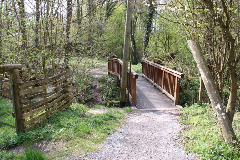 Mit den GRÜNEN ins Grüne: Wanderung am oberen Johannisbach – Sonntag, 31. Mai